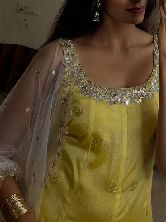 'Ziya' - Anarkali suit set with sleeves attached